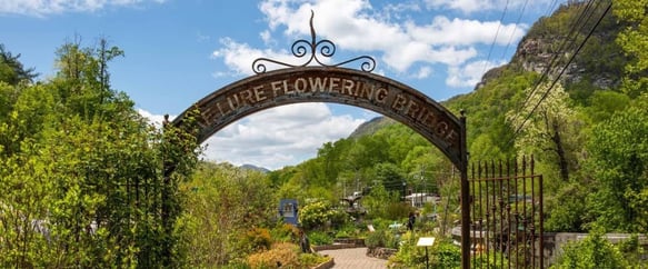 The Lake Lure Flowering Bridge is covered in leaves and vines.